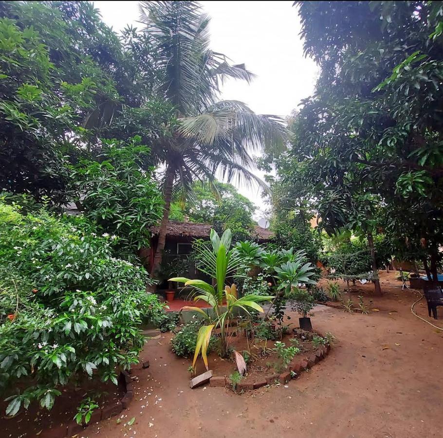 Lotus Riya Home Stay Hampi Eksteriør bilde